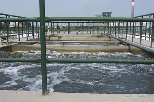 為什么工業(yè)廢水脫氮需要補充額外的碳源？