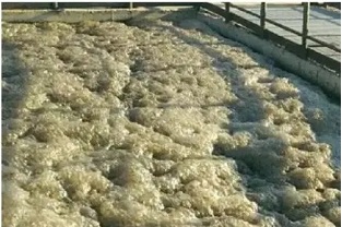 污水處理中的泡沫現象該怎么辦？