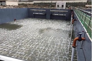 碳源的價格水漲船高，污水廠如何減少碳源投加量來降低成本？