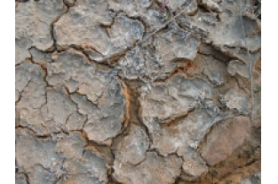 高鹽廢水生化系統(tǒng)如何穩(wěn)定運行？