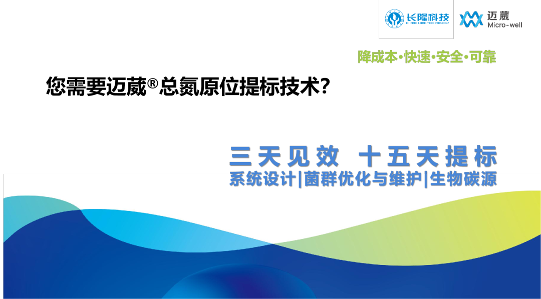 總氮原位提標(biāo)技術(shù)